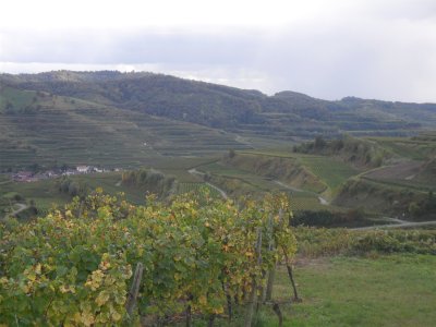 SAM_0598